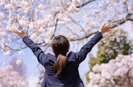 満開の桜を仰ぐ女性の後ろ姿の画像